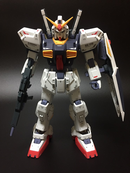 Delpi Decal - PG Mk-II AEUG Water Decal