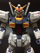 Delpi Decal - PG Mk-II AEUG Water Decal