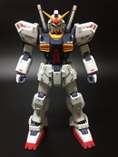 Delpi Decal - PG Mk-II AEUG Water Decal