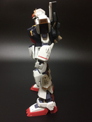 Delpi Decal - PG Mk-II AEUG Water Decal