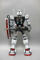 Delpi Decal - PG RX-78-2 FIRST WATER DECAL