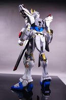 Delpi Decal - PG Strike Freedom Water Decal