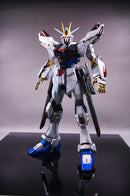 Delpi Decal - PG Strike Freedom Water Decal