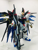 Delpi Decal - PG Strike Freedom Water Decal