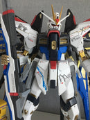 Delpi Decal - PG Strike Freedom Water Decal