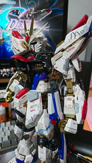 Delpi Decal - PG Strike Freedom Water Decal