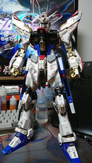 Delpi Decal - PG Strike Freedom Water Decal