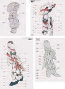 Delpi Decal - PG UNICORN ARCHIVE WATER DECAL