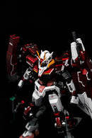 Delpi Decal - RG 00 Seven Sword/G Inspection Water Decal