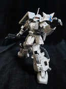 Delpi Decal - RG Shin Matsunaga Water Decal