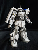 Delpi Decal - RG Shin Matsunaga Water Decal