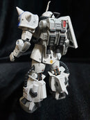 Delpi Decal - RG Shin Matsunaga Water Decal