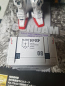 Delpi Decal - MG RX-79[G] Water Decal