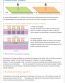 Infini - Sanding Sponge Stick